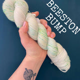 Beeston Bump - Hand dyed 4ply/sock yarn 100g/425m superwash merino, nylon blend