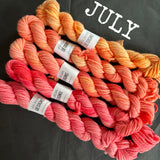 SPARES - The Mini Skein Club