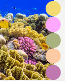 The Yarn Advent 2025