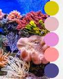 The Yarn Advent 2025