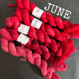 SPARES - The Mini Skein Club