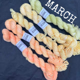 SPARES - The Mini Skein Club
