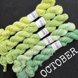 SPARES - The Mini Skein Club