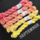SPARES - The Mini Skein Club