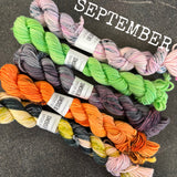 SPARES - The Mini Skein Club