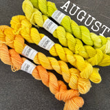 SPARES - The Mini Skein Club