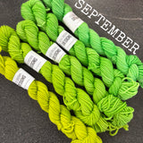 SPARES - The Mini Skein Club