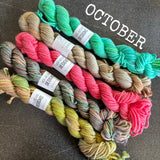 SPARES - The Mini Skein Club