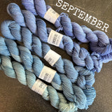 SPARES - The Mini Skein Club