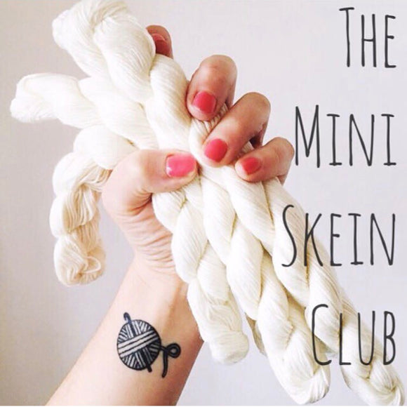 The Mini Skein Club