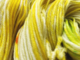 Aneira - Hand dyed DK yarn 100g/225M superwash merino