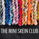 The Mini Skein Club : 3, 6 or 12 Box Subscription